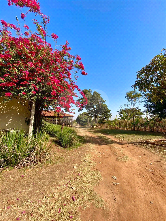 Rural/Sítio Centro Taiúva 