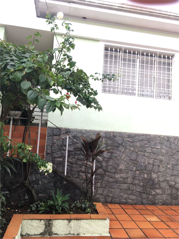 SOBRADO em TUCURUVI