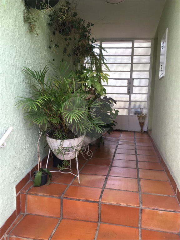 SOBRADO em TUCURUVI