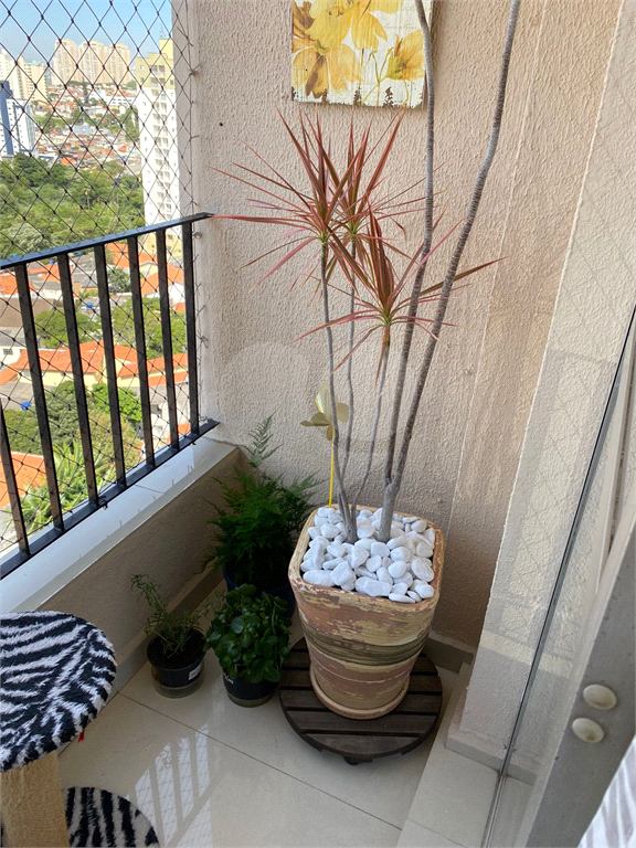 Apartamento Gopoúva 