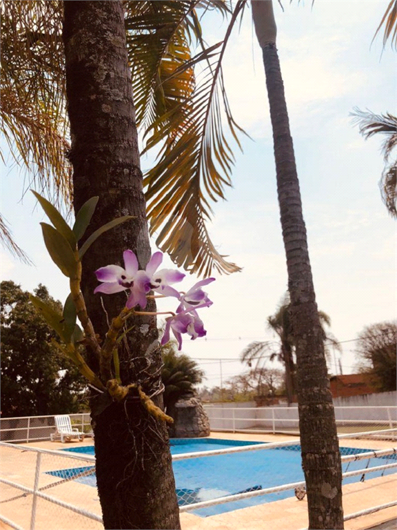 AMPLA CHACARA COM ISCINA