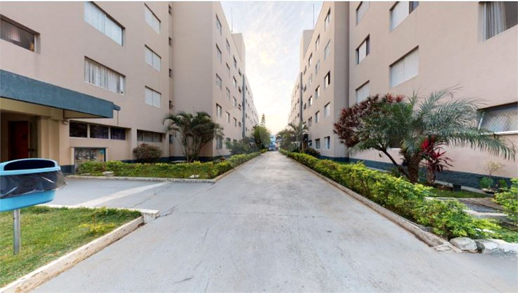 APARTAMENTO em JAÇANÃ