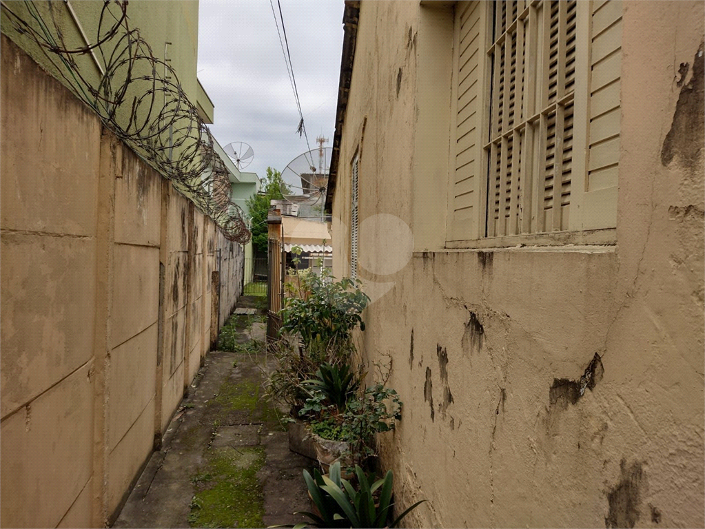 TERRENO em JAÇANÃ