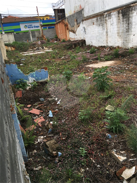 Terreno de 310m² sendo 31m² X 10m²   Limpo e nivelado
