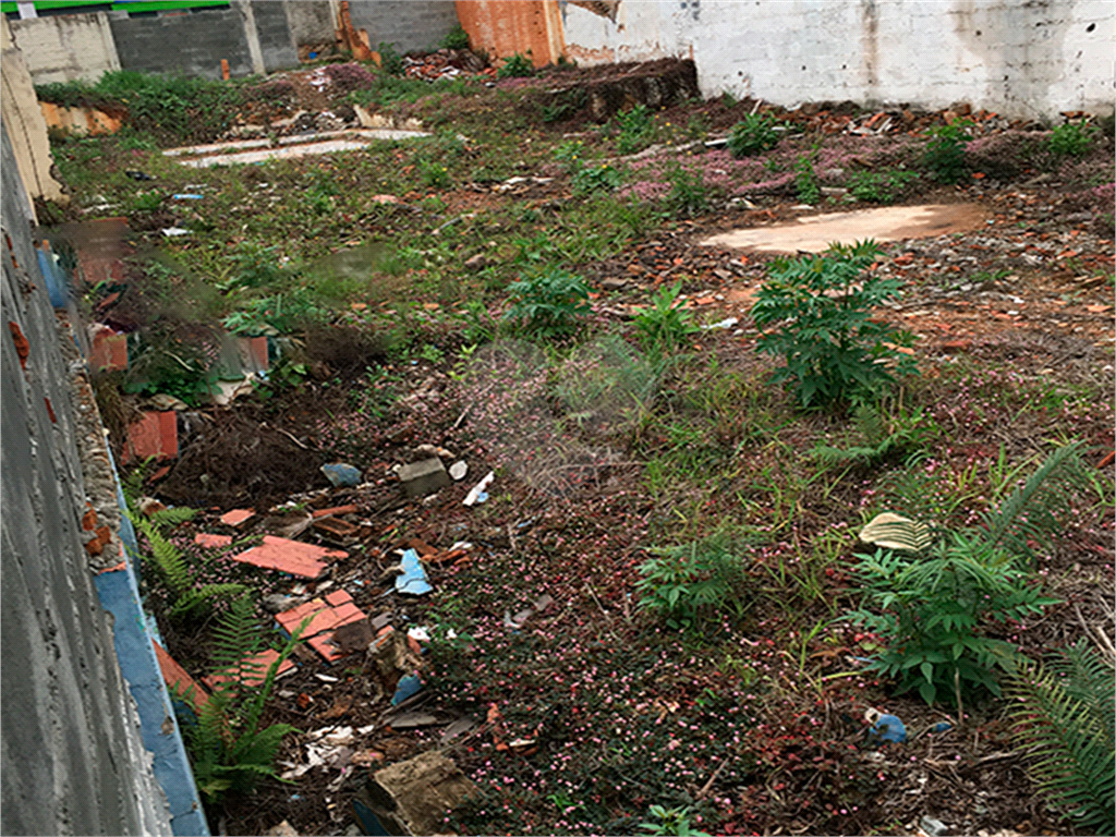 Terreno de 310m² sendo 31m² X 10m²   Limpo e nivelado