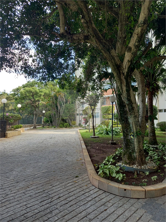 Cobertura de 160m² em um dos bairros mais arborizados da zona norte!!
