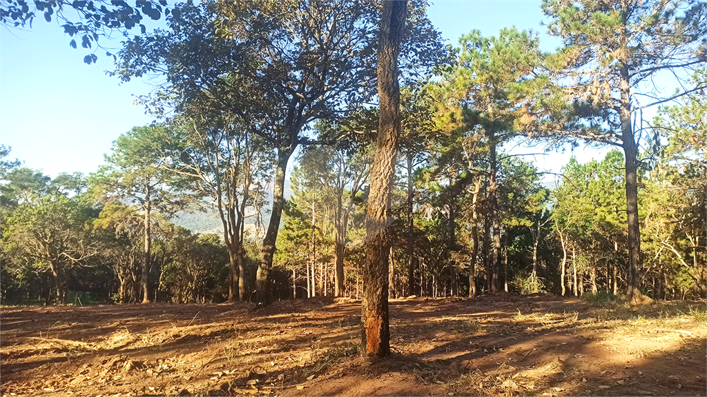 Casa de Condomínio à venda, 20000m² - Foto 16