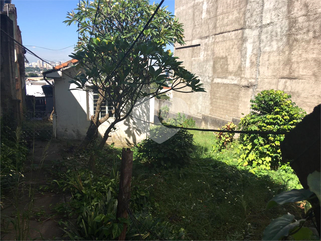 Sobrado, 3 quartos, 500 m² - Foto 6