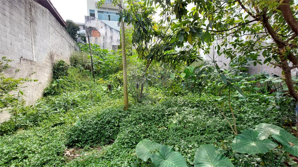 Terreno no Barro Branco com área total 295,35 m2 - 12 mts de frente
