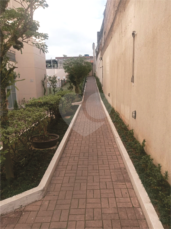 Apartamento Vila Penteado