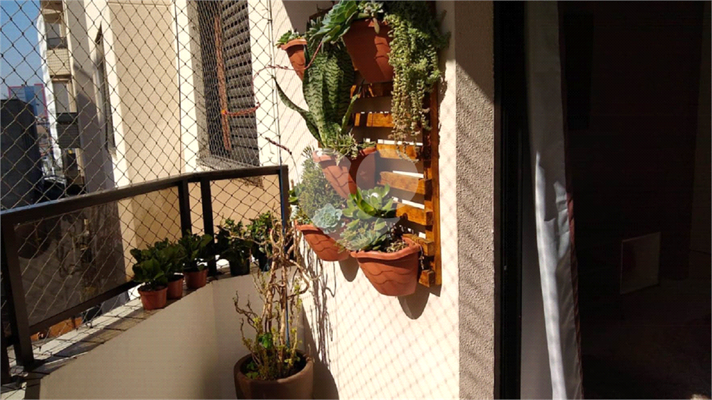 APARTAMENTO em TUCURUVI