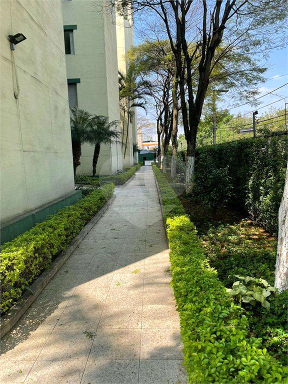 APARTAMENTO em CASA VERDE