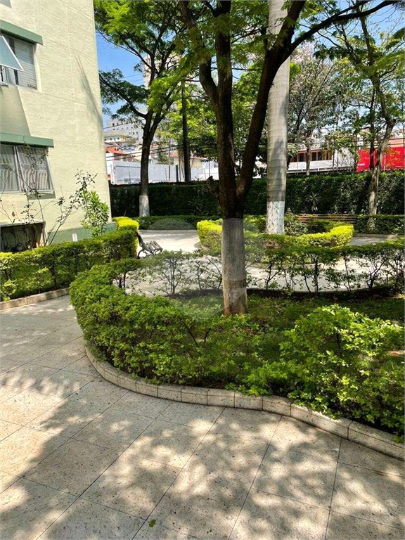 APARTAMENTO em CASA VERDE
