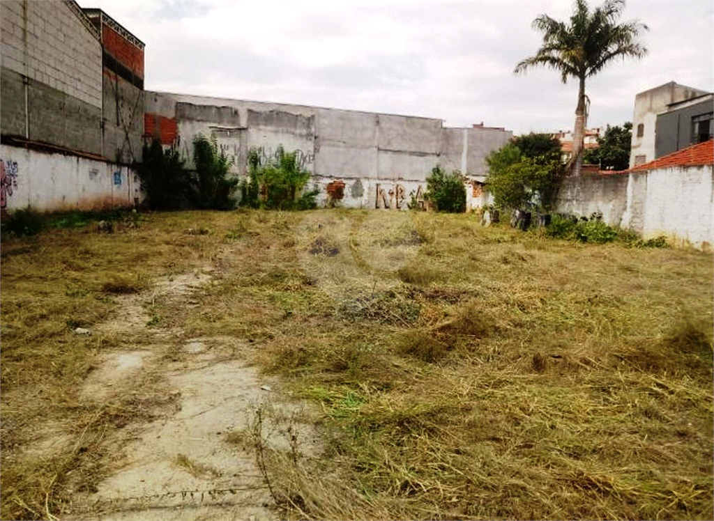 TERRENO em LIMÃO