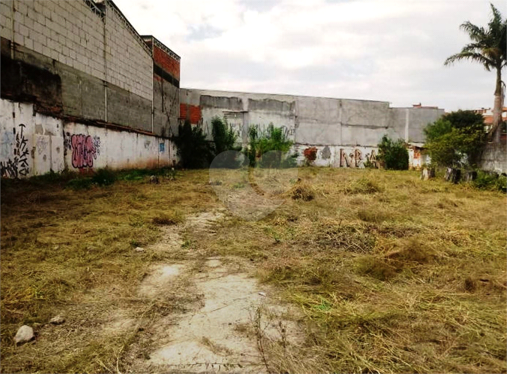 TERRENO em LIMÃO