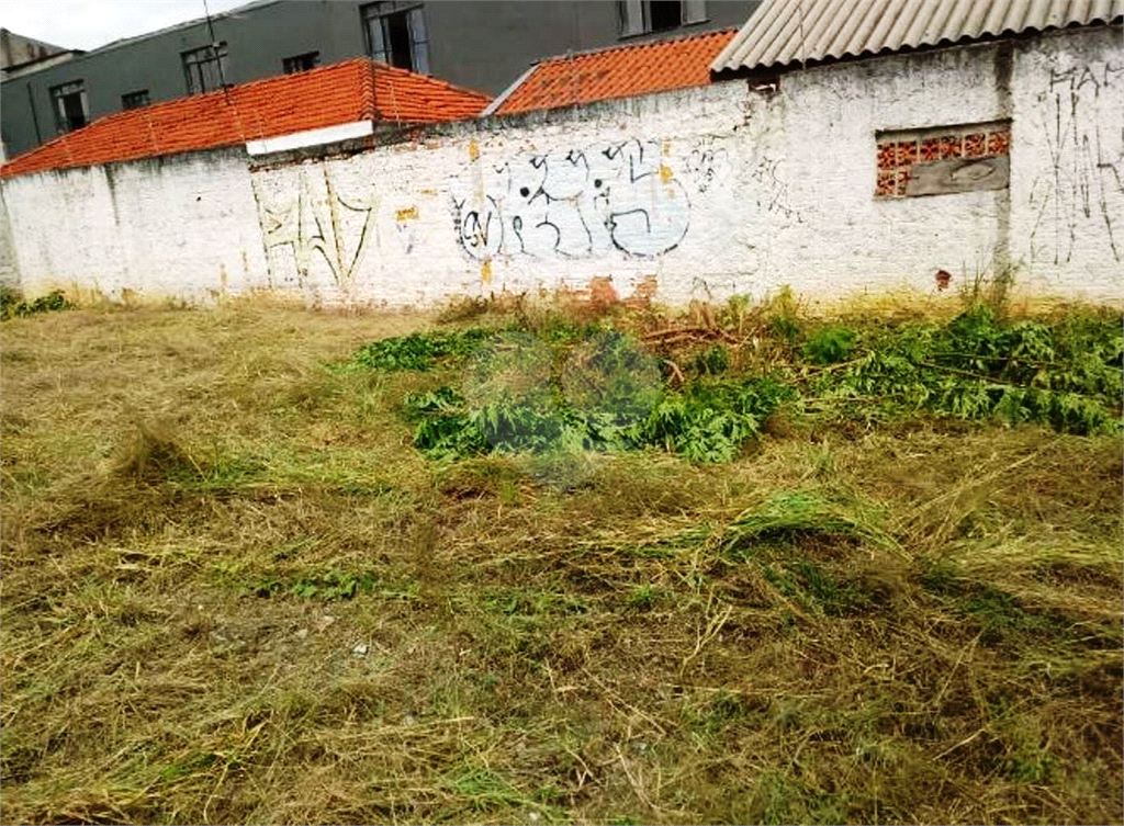 TERRENO em LIMÃO