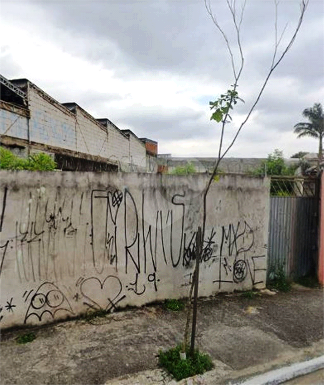 TERRENO em LIMÃO