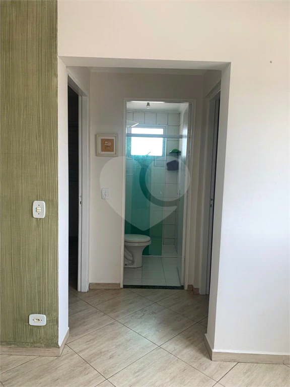 Apartamento Limão