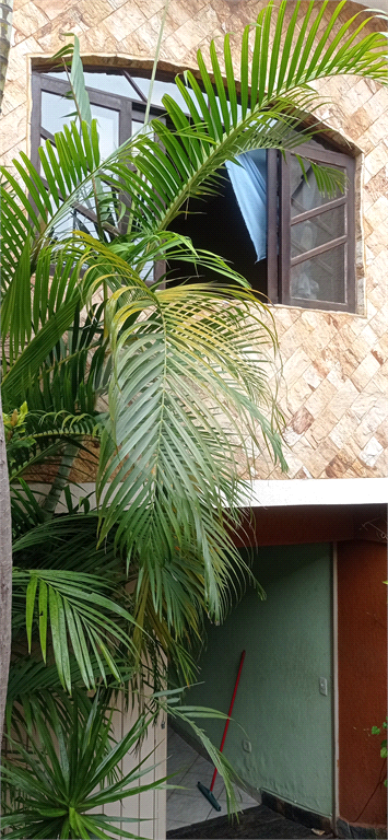 SOBRADO em TUCURUVI