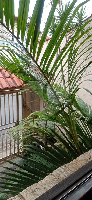 SOBRADO em TUCURUVI