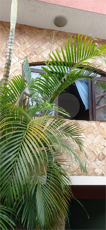 SOBRADO em TUCURUVI