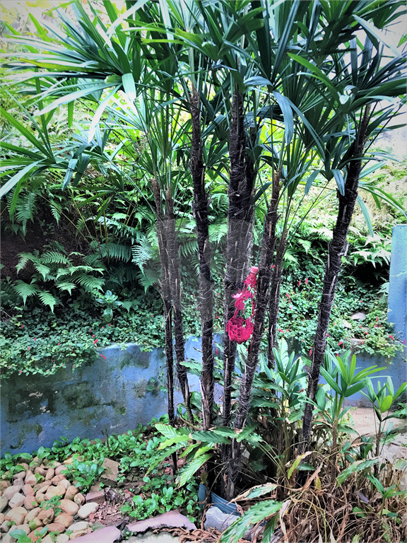 CASA em JARDIM ALVORADA