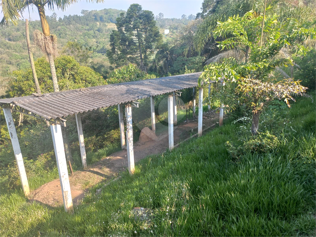 Casa, 7 quartos, 600 m² - Foto 6