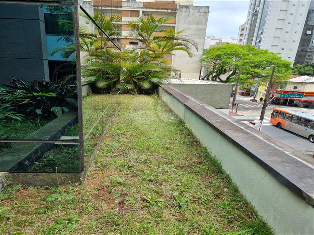 Lage comercial rua Bela cintra 