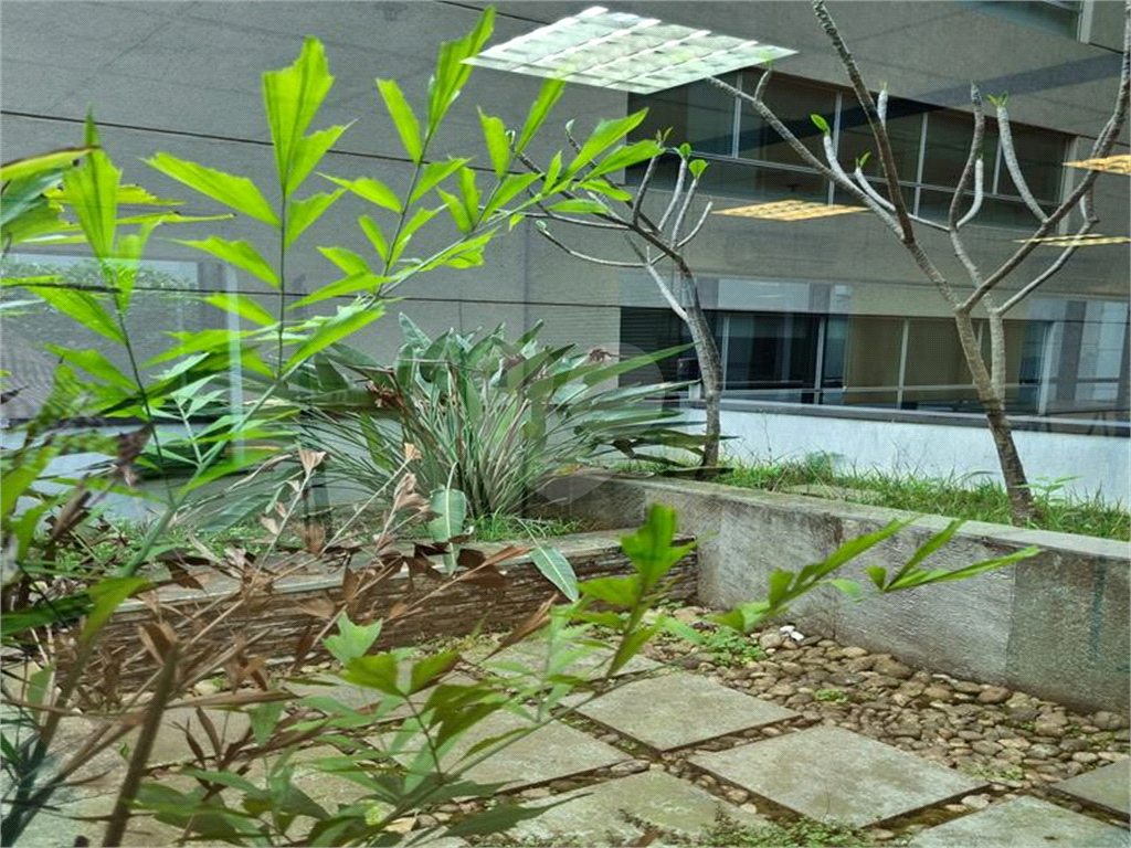 Lage comercial rua Bela cintra 