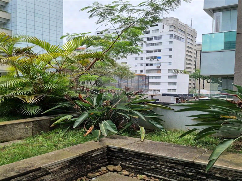 Lage comercial rua Bela cintra 