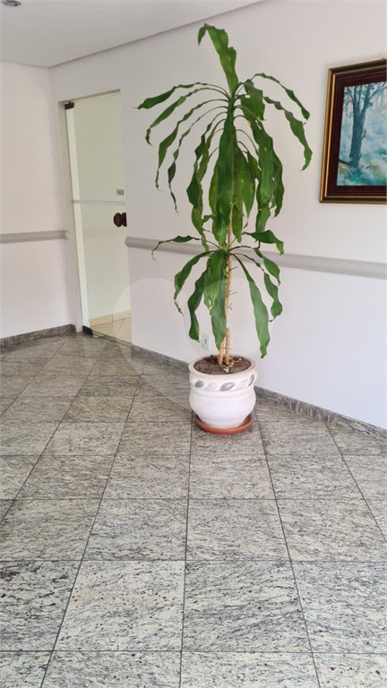 APARTAMENTO em TUCURUVI