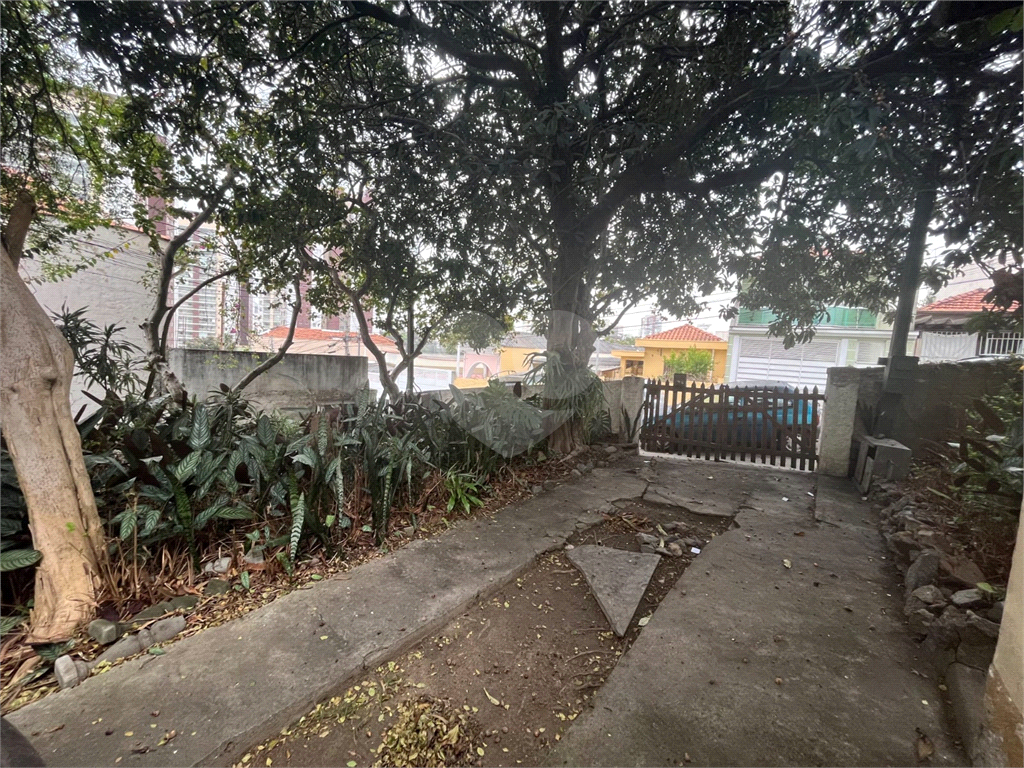 TERRENO em VILA GUILHERME