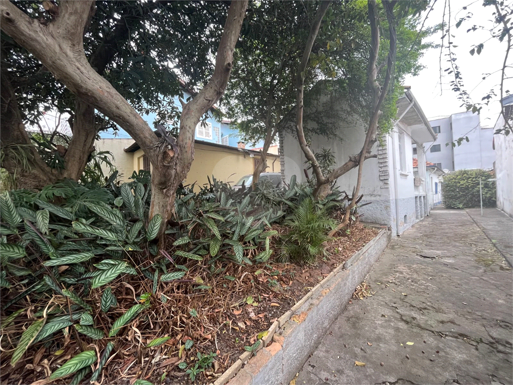 TERRENO em VILA GUILHERME