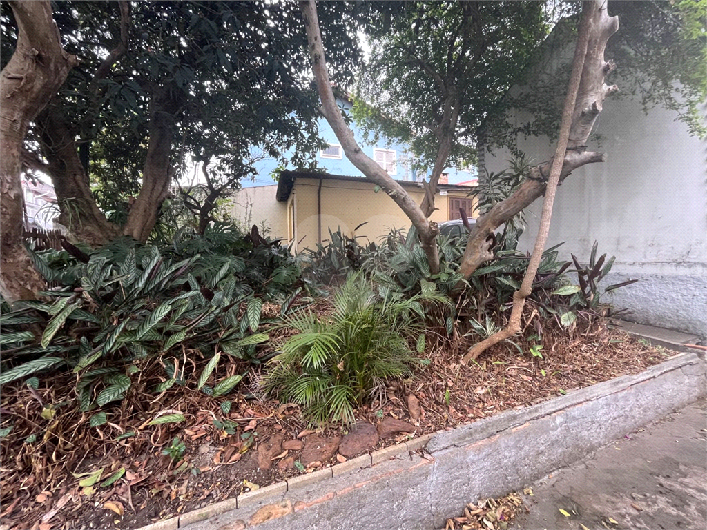 TERRENO em VILA GUILHERME