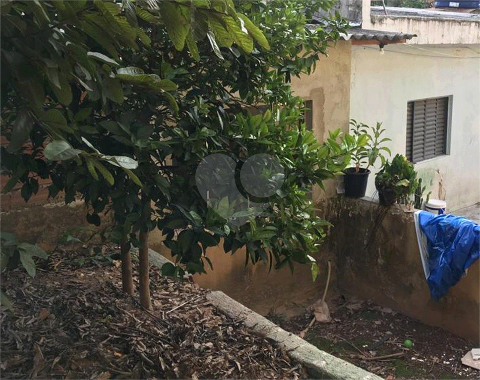 TERRENO em LIMÃO