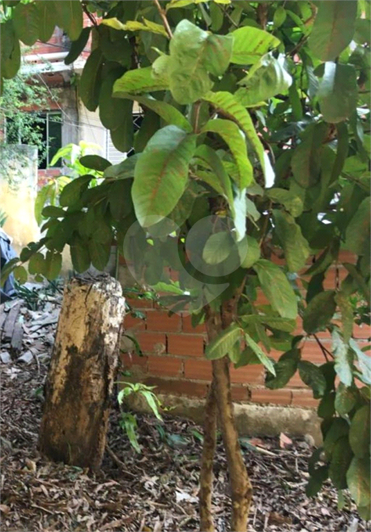 TERRENO em LIMÃO