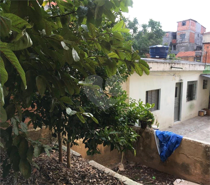 TERRENO em LIMÃO