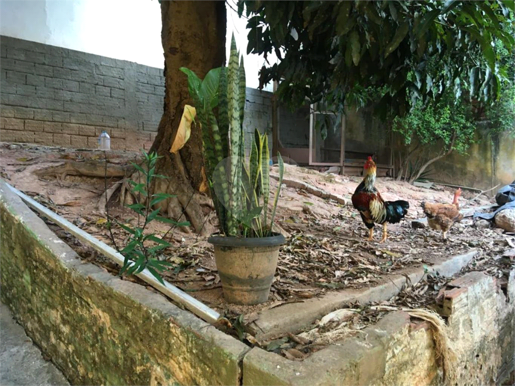 TERRENO em LIMÃO