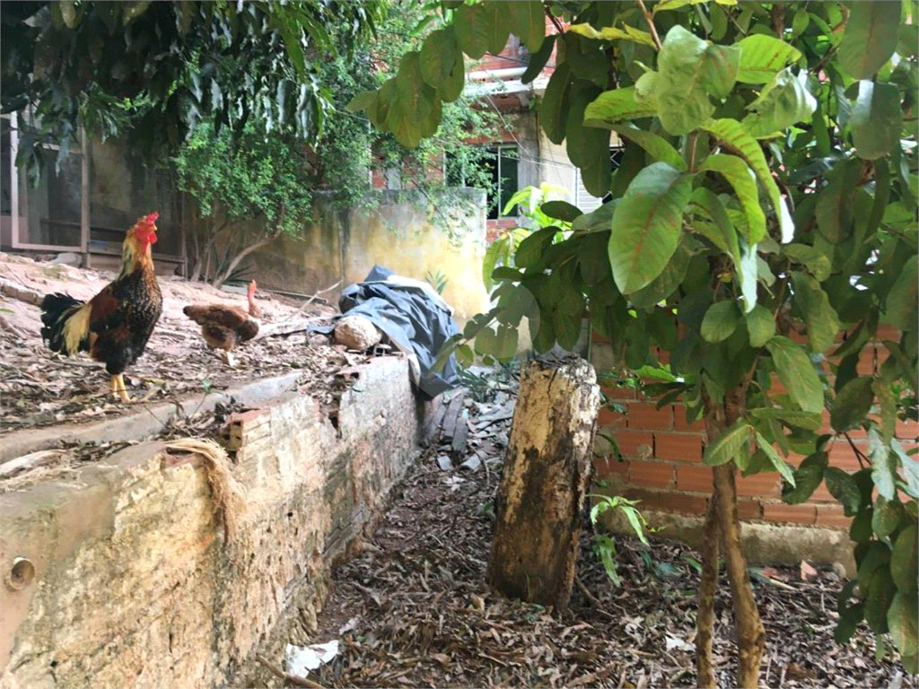 TERRENO em LIMÃO