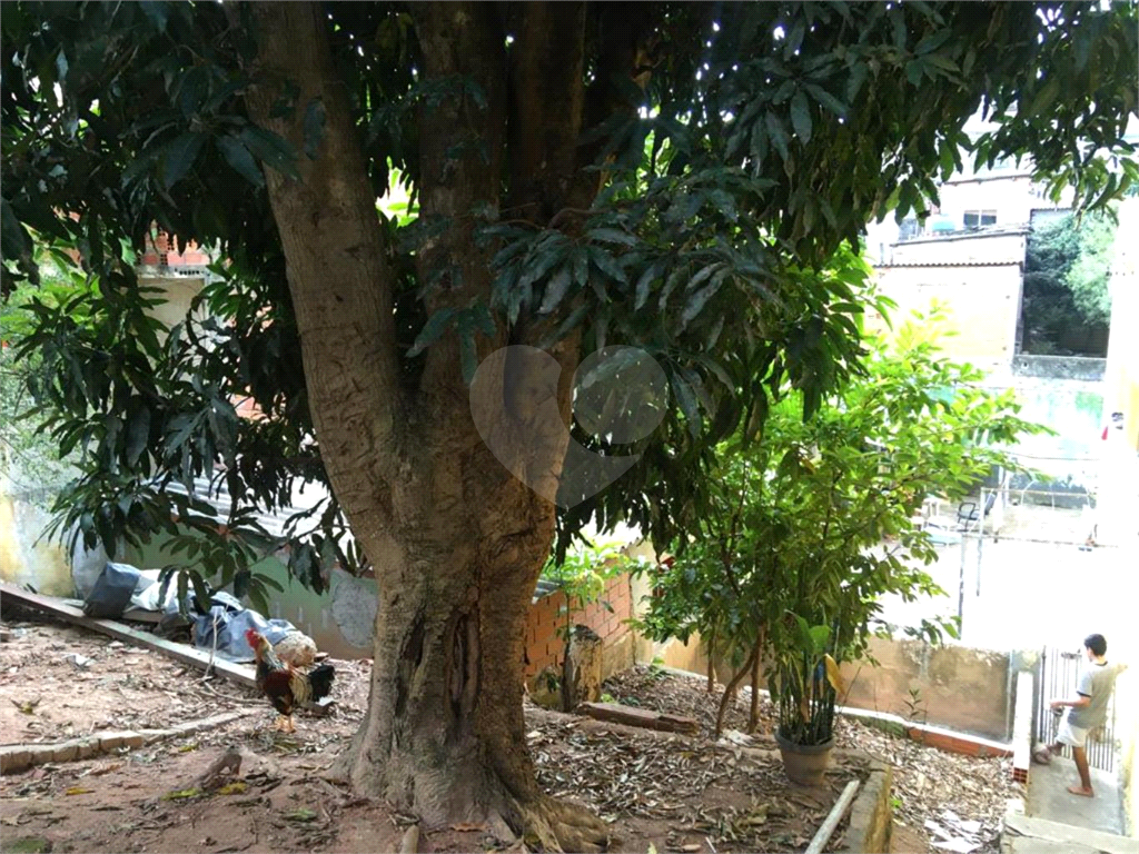 TERRENO em LIMÃO