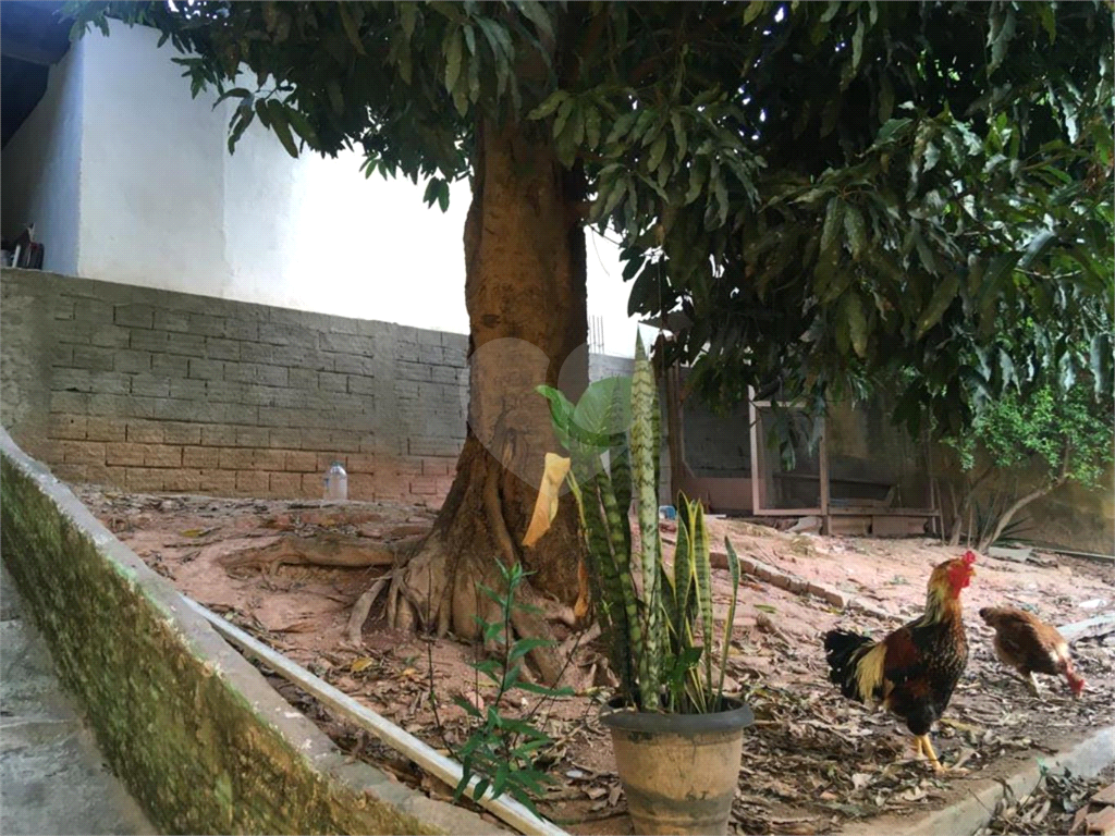 TERRENO em LIMÃO