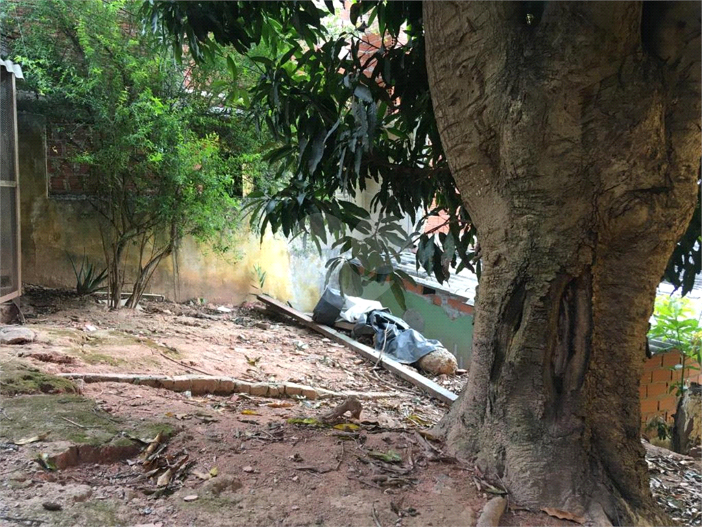 TERRENO em LIMÃO