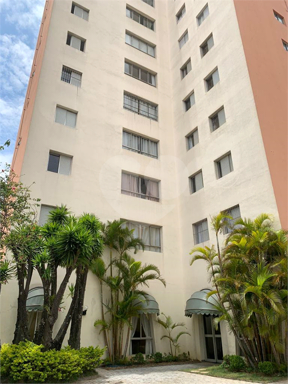 Apto pronto pra morar na Vila Gustavo