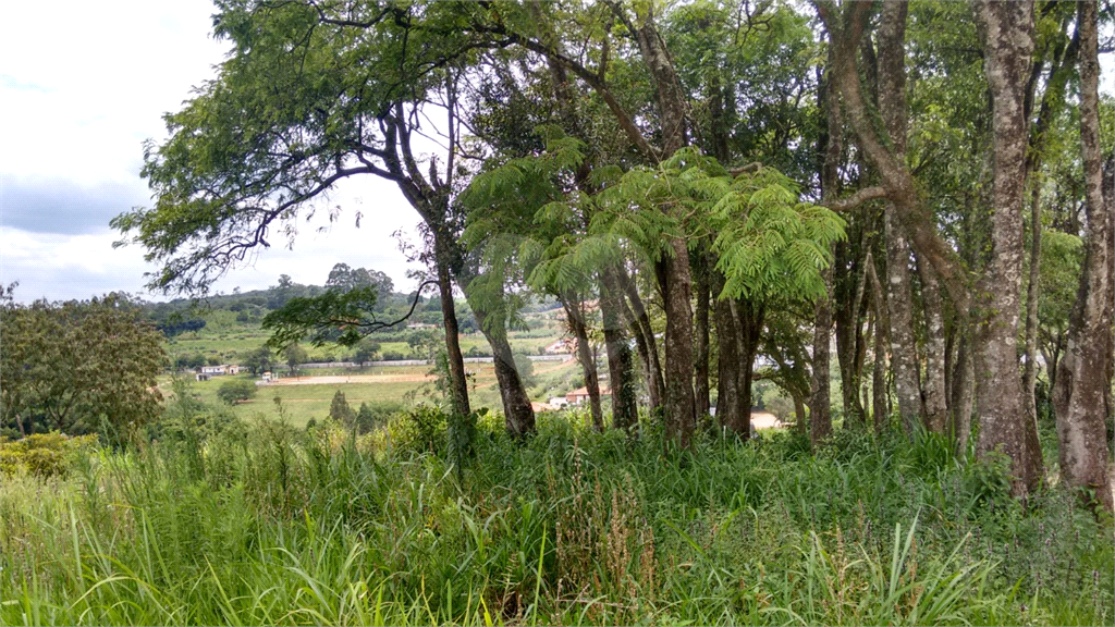 Terreno à venda, 2000m² - Foto 9