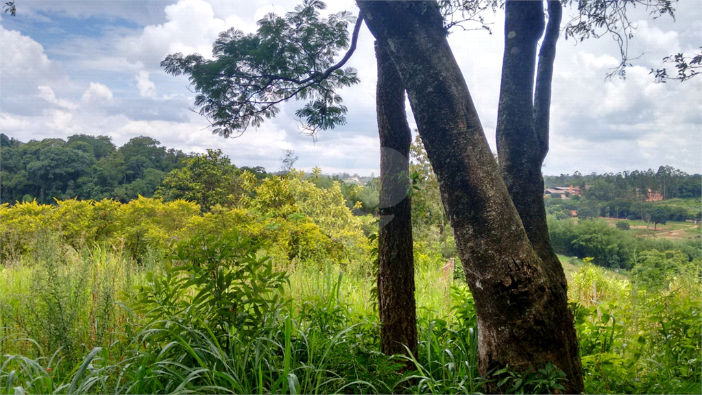 Terreno à venda, 2000m² - Foto 4