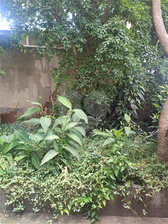 Terreno na Zona Norte, no Bairro Vila Prado, com 540m², Próximo a Avenida Deputado Emilio Carlos
