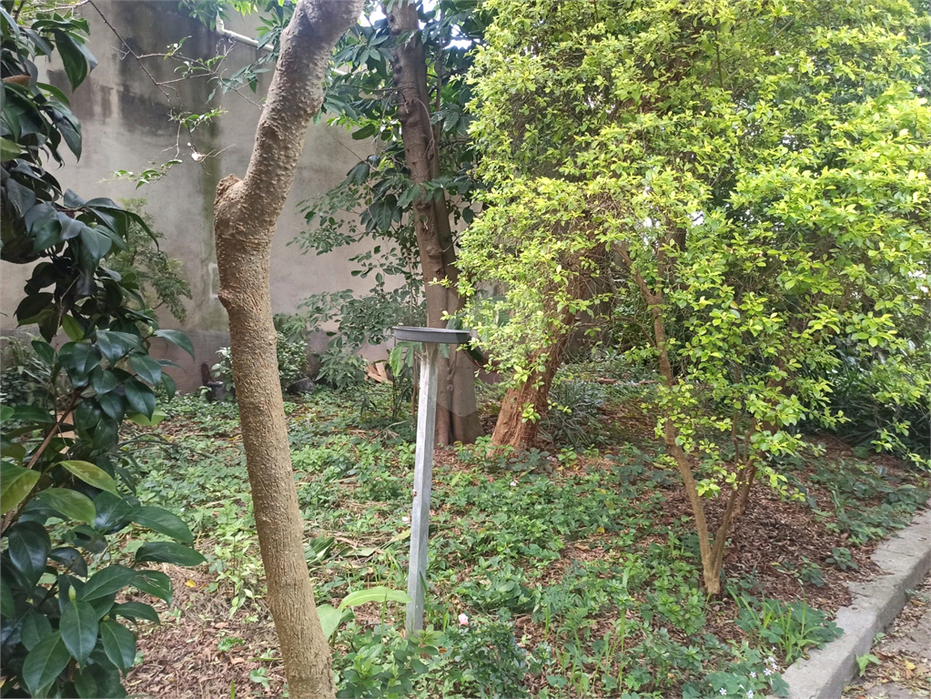Terreno na Zona Norte, no Bairro Vila Prado, com 540m², Próximo a Avenida Deputado Emilio Carlos
