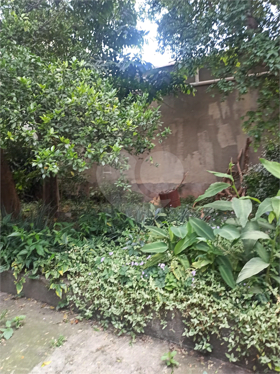 Terreno na Zona Norte, no Bairro Vila Prado, com 540m², Próximo a Avenida Deputado Emilio Carlos
