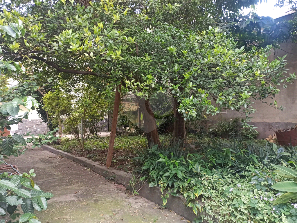 Terreno na Zona Norte, no Bairro Vila Prado, com 540m², Próximo a Avenida Deputado Emilio Carlos
