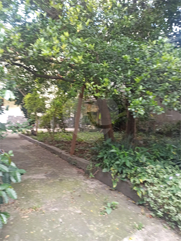 Terreno na Zona Norte, no Bairro Vila Prado, com 540m², Próximo a Avenida Deputado Emilio Carlos
